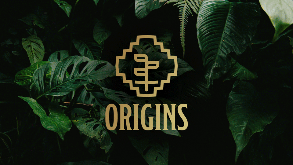 Origin CBD brand for the South American market features the logo, brand elements, and packaging. 