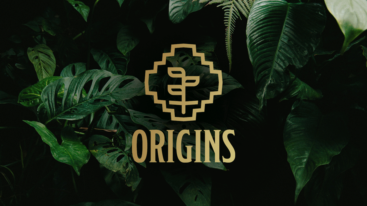 Origin CBD brand for the South American market features the logo, brand elements, and packaging. 