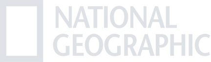 National Geographic TV network logo