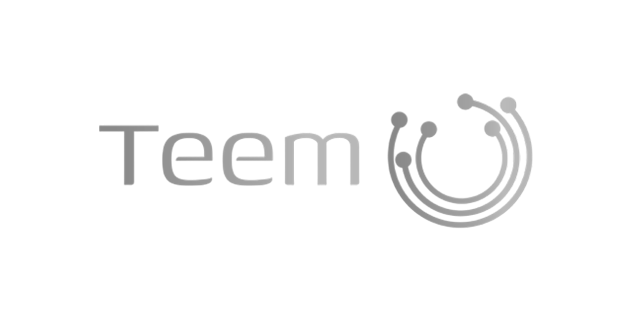 Teem logo
