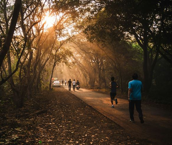 How Your Heart Health Affects Your Bladder: The Surprising Link Between Cardiovascular Fitness and Overactive Bladder