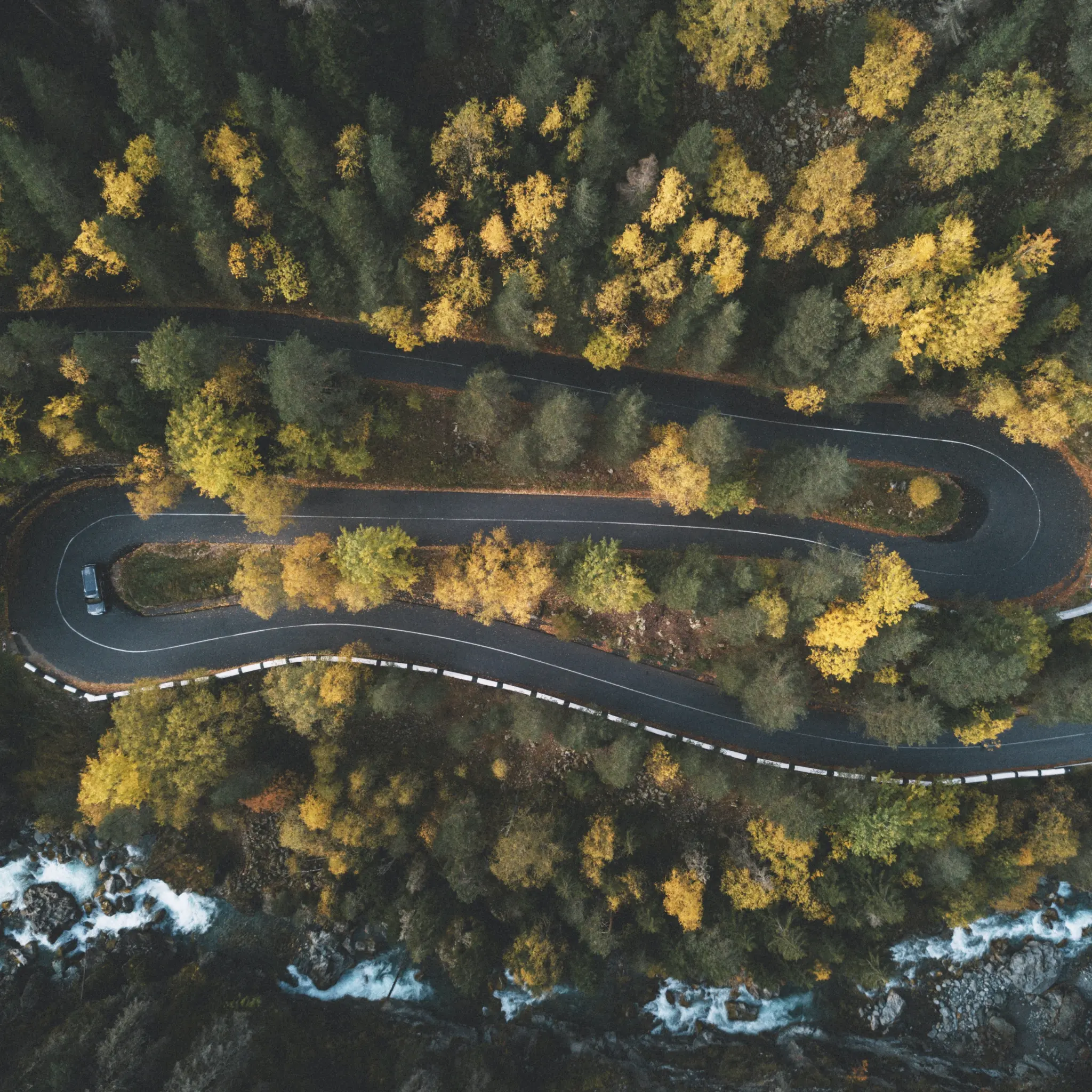 Curvy road winding through a forest with green and yellow autumn trees, viewed from above.