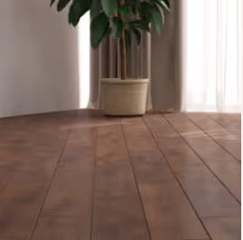 Dark Hardwood flooring with a houseplant