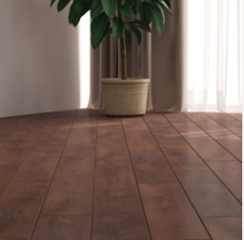 Dark Hardwood flooring with a houseplant