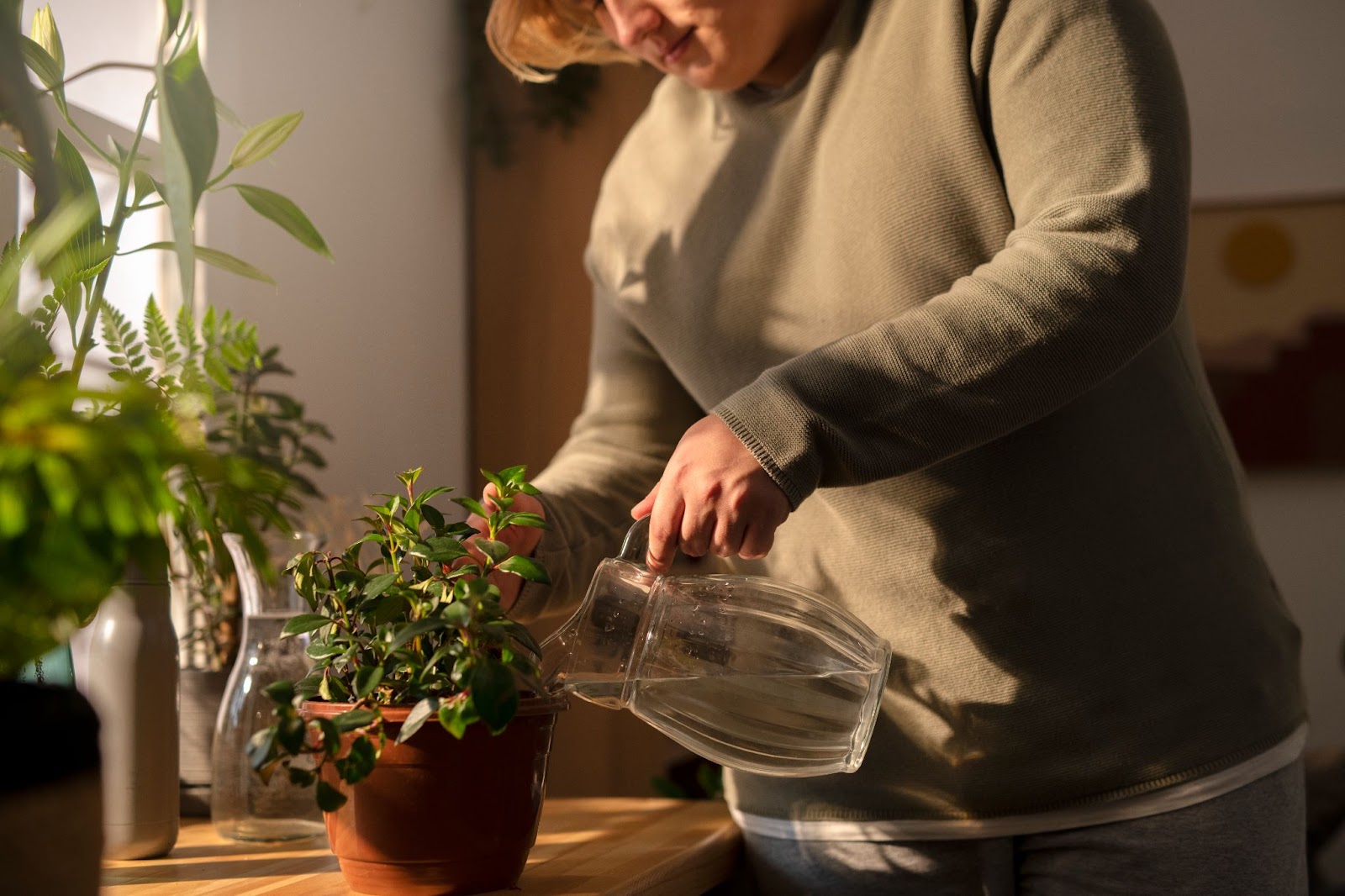 Woman watering indoor plants