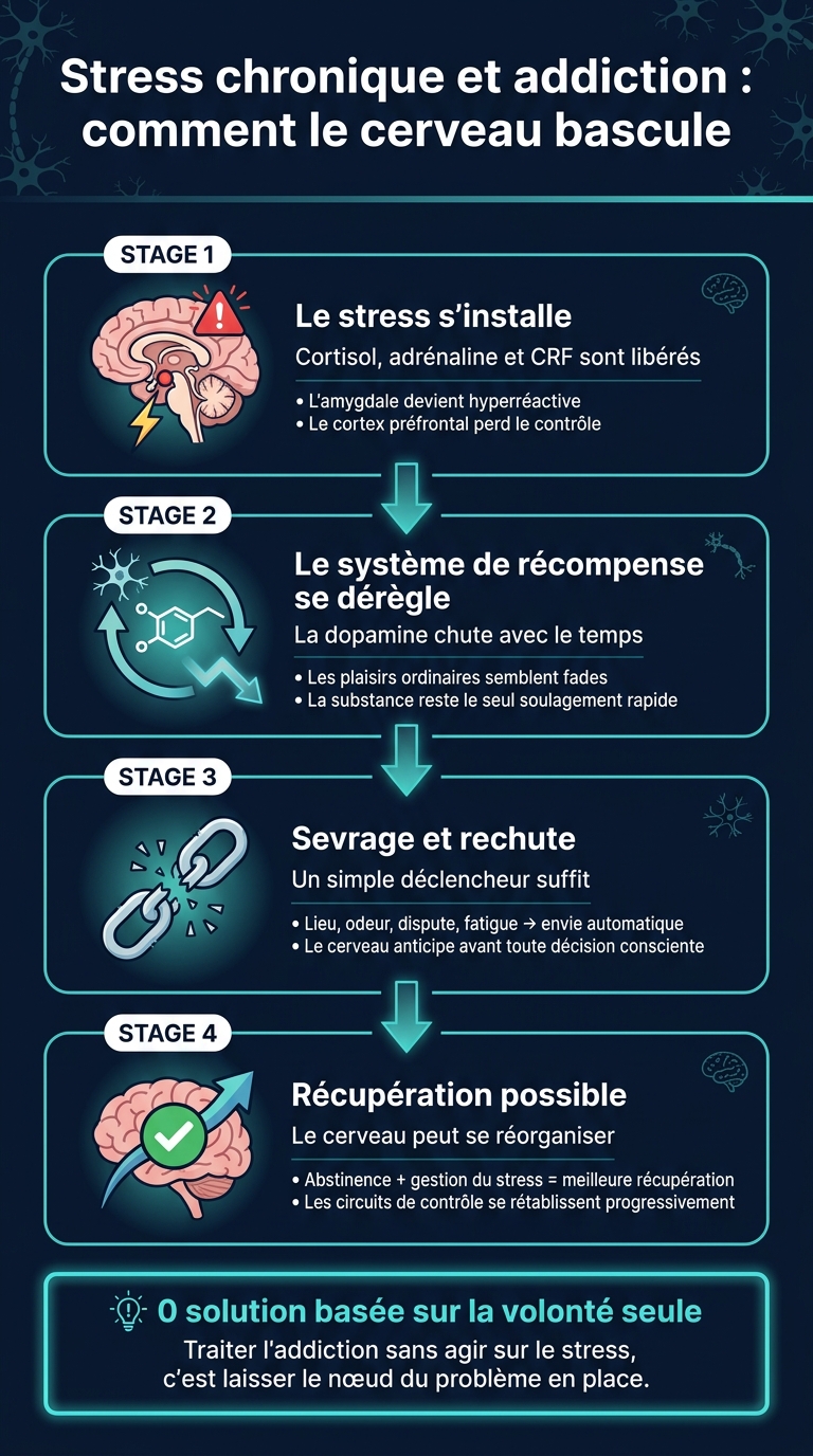 Stress chronique et addiction : comment le cerveau bascule