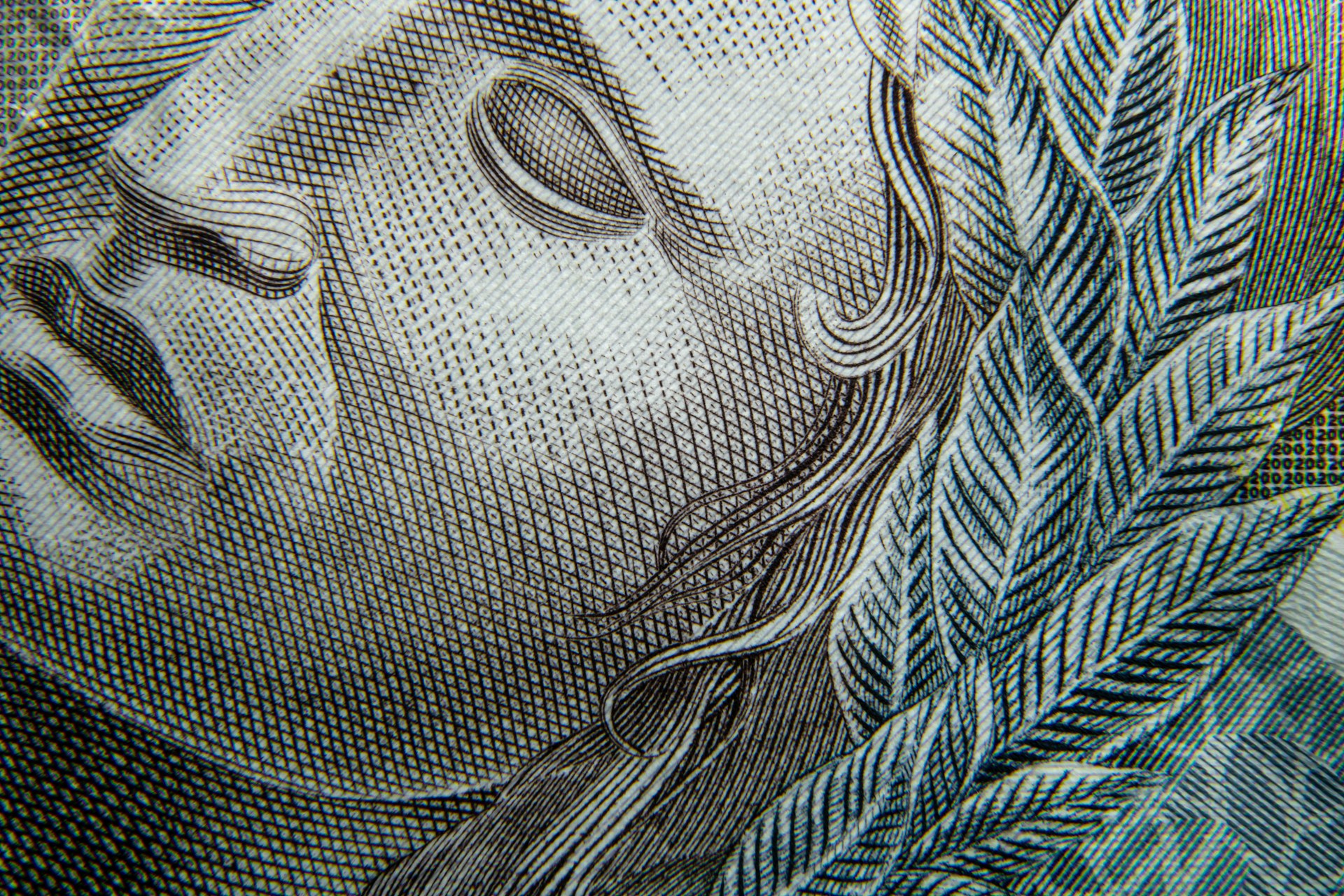 Malha Fina (Tax Audit): Prevention and Defense - Tytle