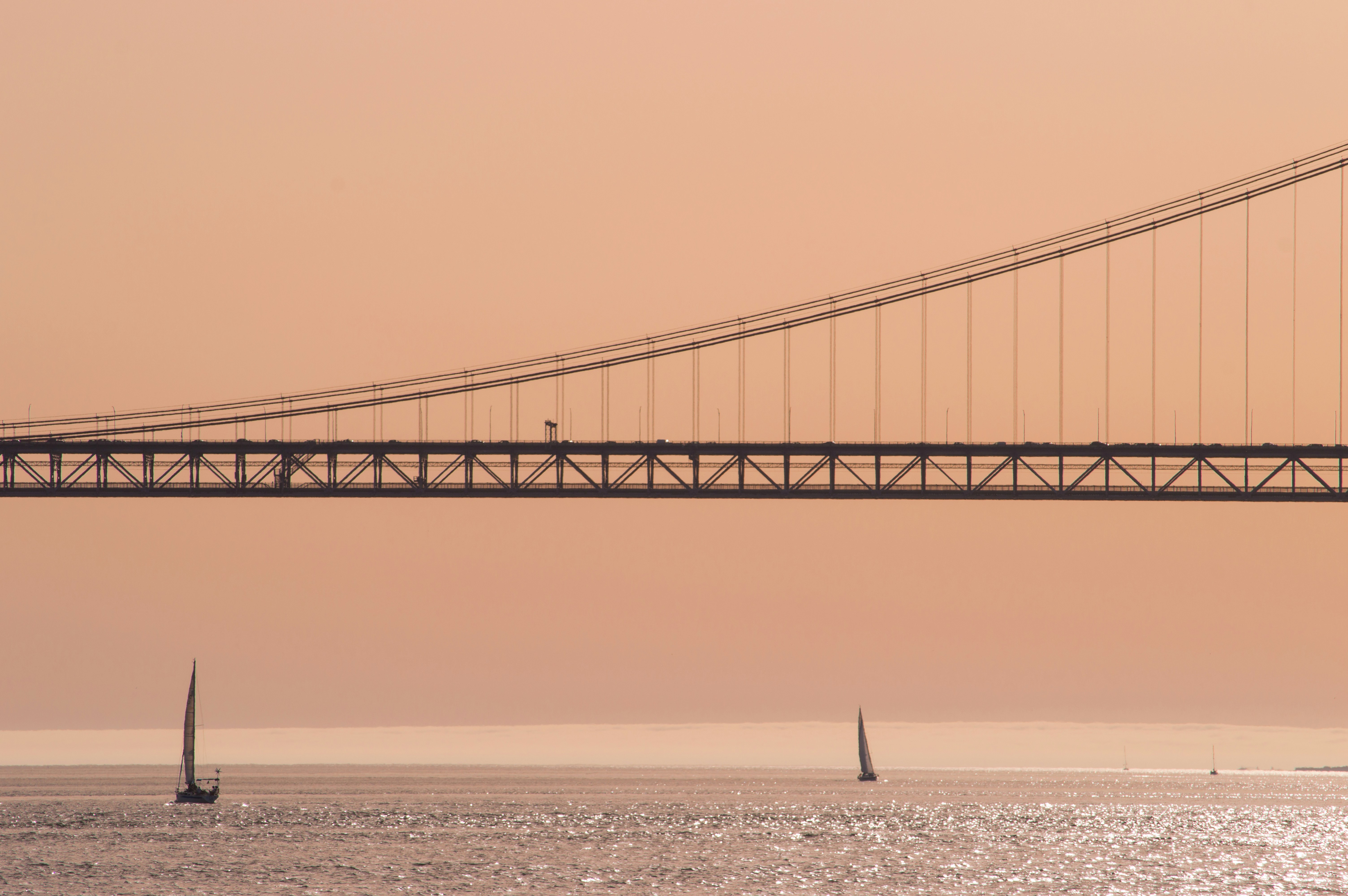 D8 Digital Nomad Visa in Portugal: A Guide for Remote Workers - Tytle