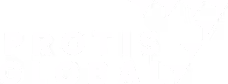Protis Global logo with stylized letter 'A' made of triangles.