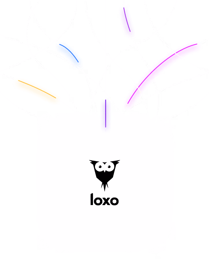 Black owl logo with the word 'loxo' beneath, surrounded by colorful abstract paint strokes in blue, orange, purple, and pink fading outward.