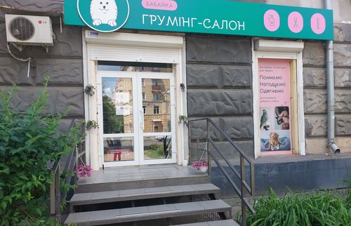 як знайти грумінг-салон Бабайка