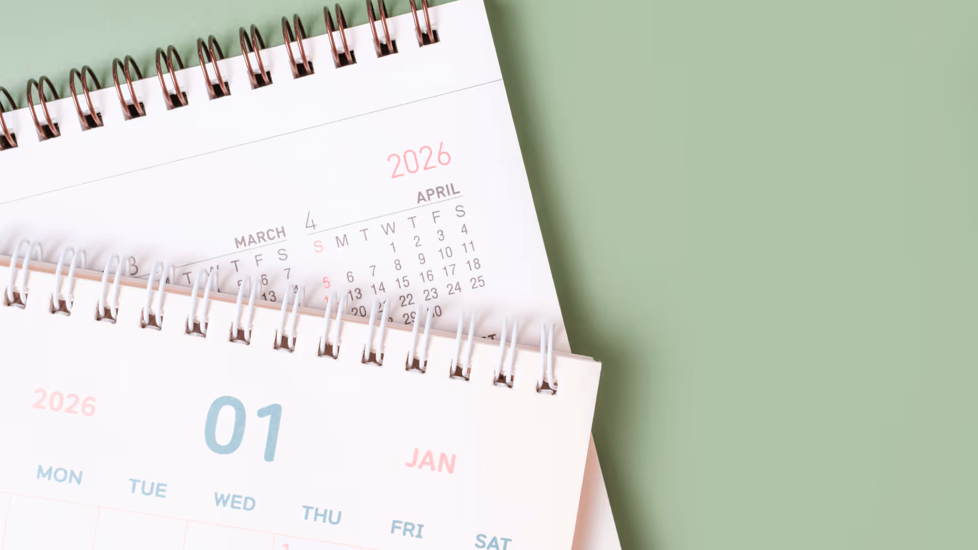 grafik pracy na luty 2026 - Proplanum