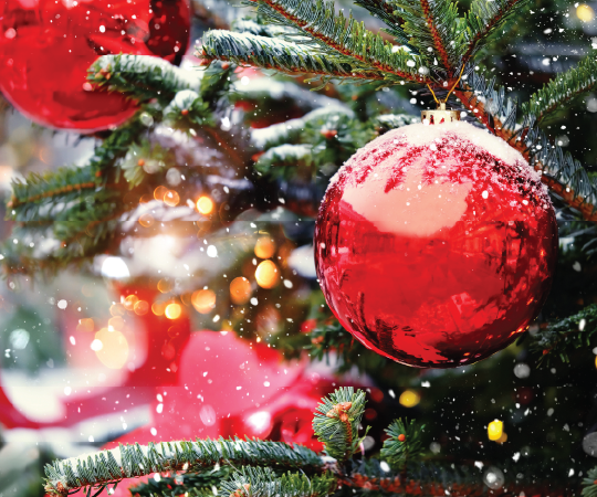 Close up shot of red baubles on a Christmas tree 