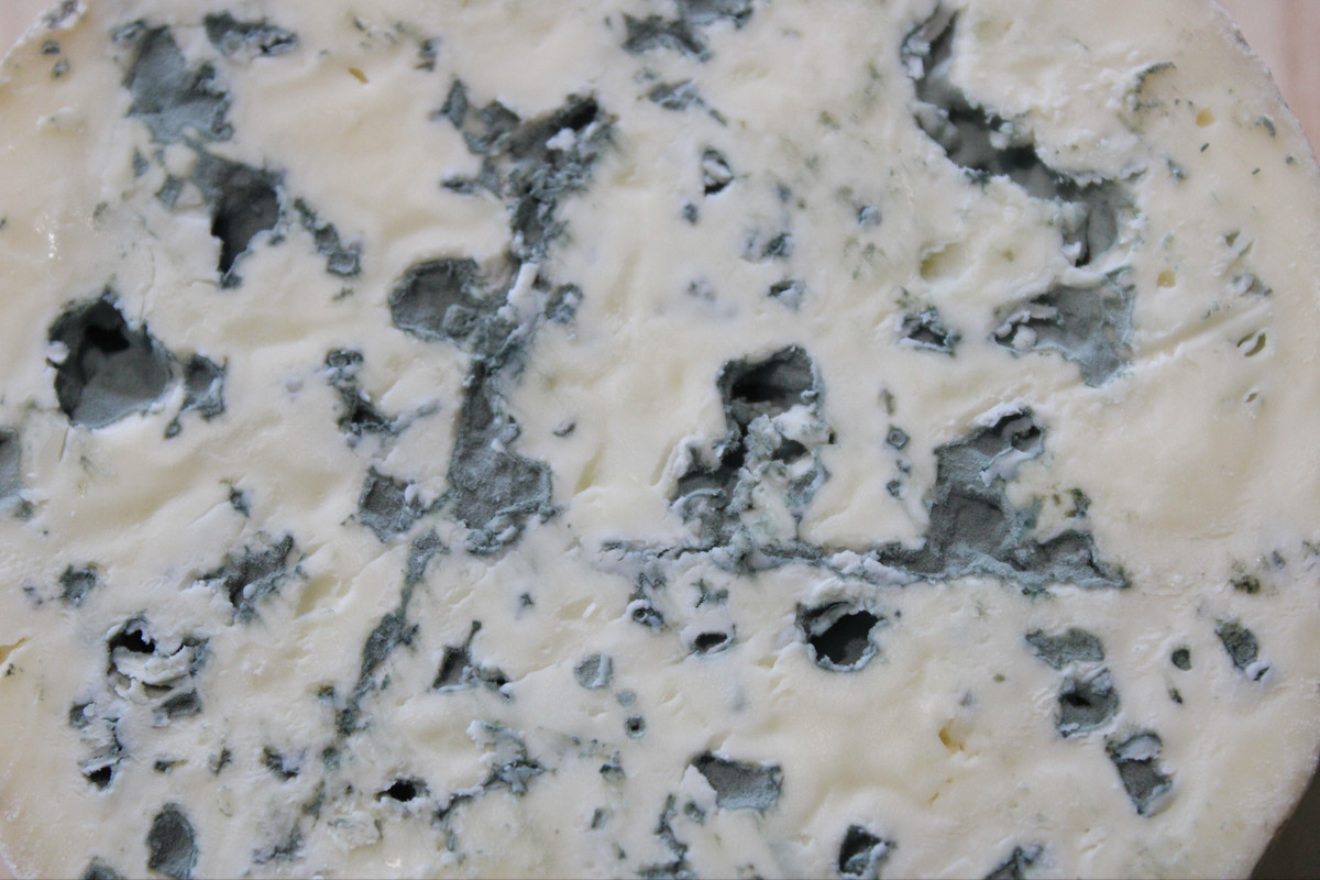 Close-up of Rébellion 1837 blue cheese