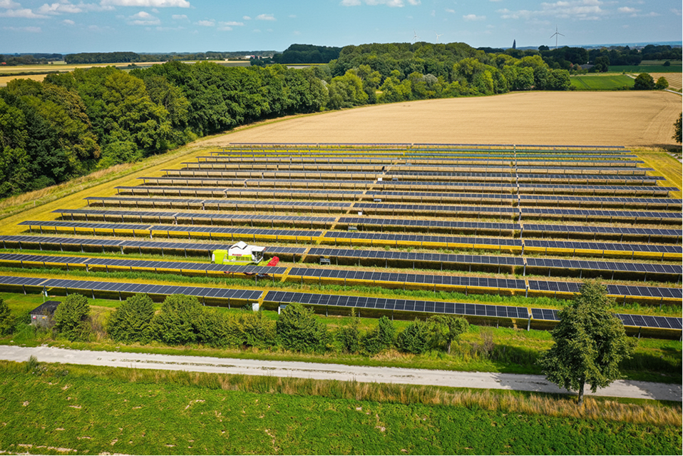 ViscaSolar 2.5MW Single-Axis Solar Plant