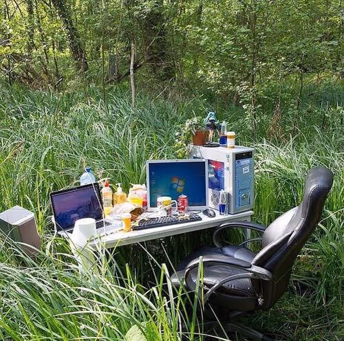 Computer desk and chair nestled in tall grass amid forest surroundings