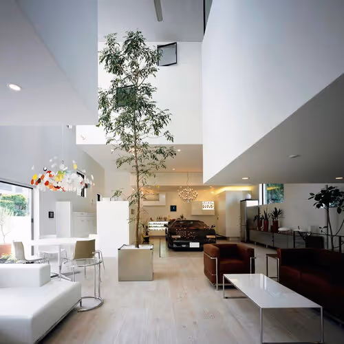 Modern open concept home with tall ceilings, indoor tree, and minimalist furniture