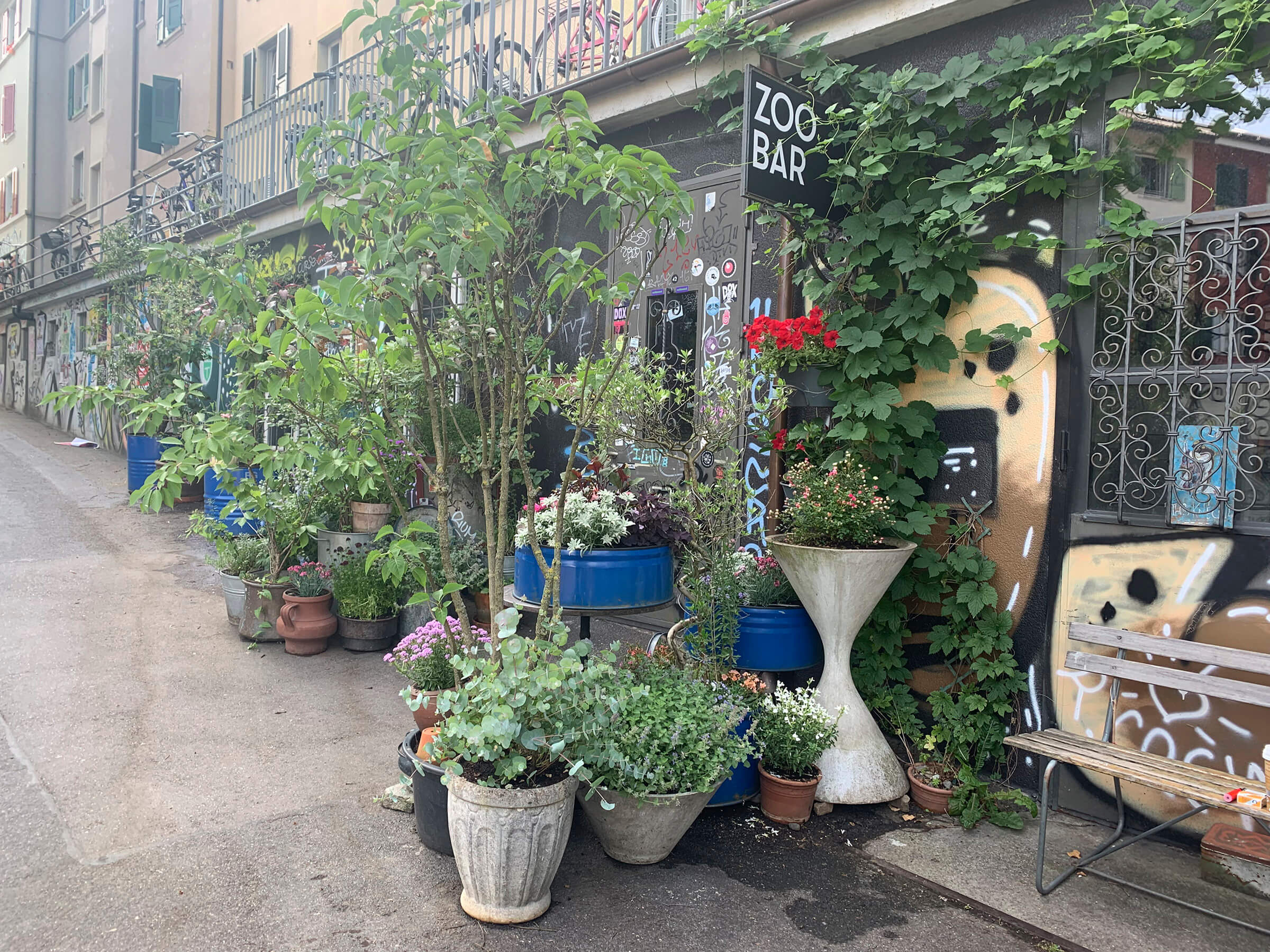 Zoobar Bern – Pflanzen aussen