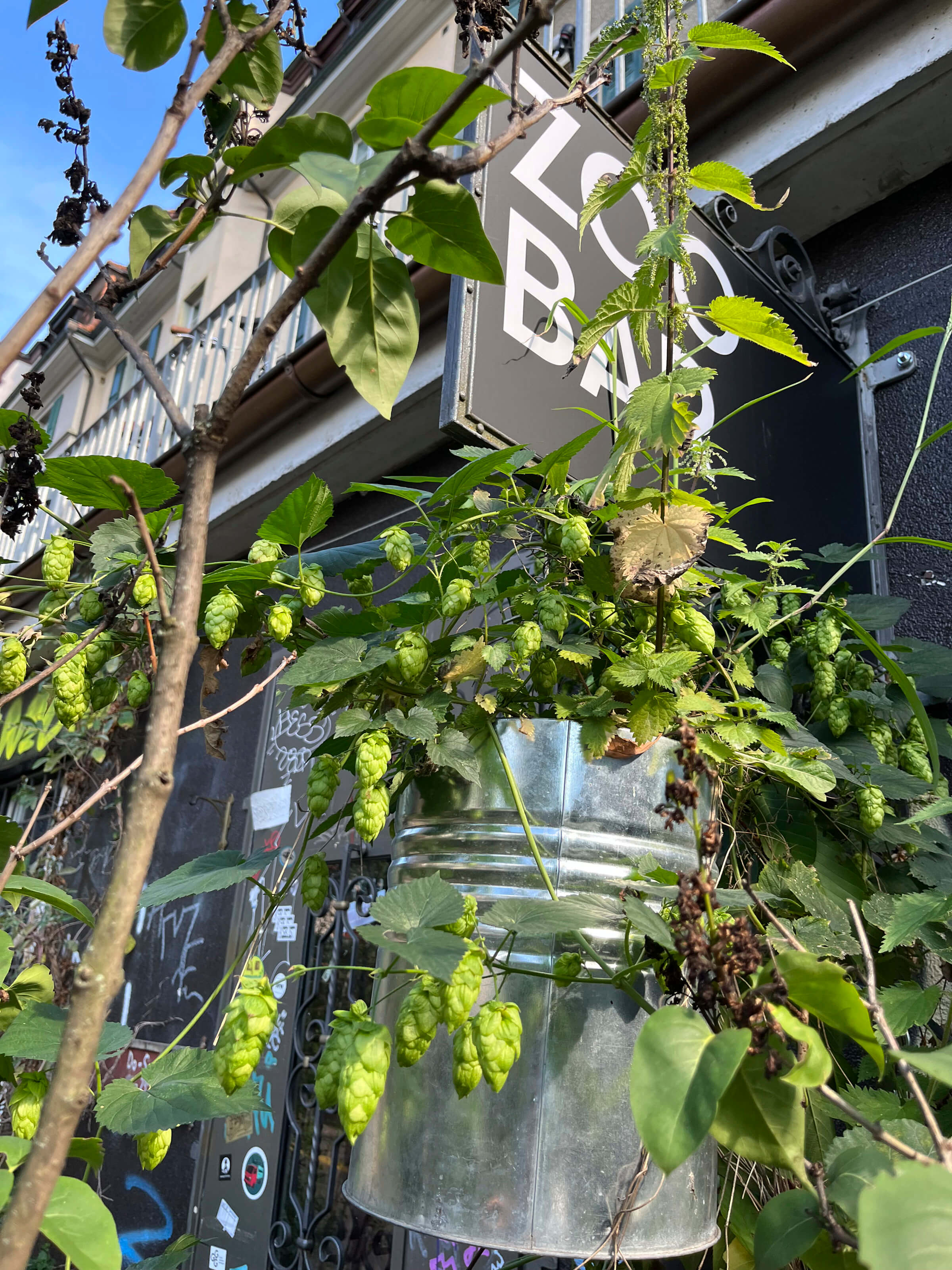 Zoobar Bern – Hopfen und Malz sind nicht verloren