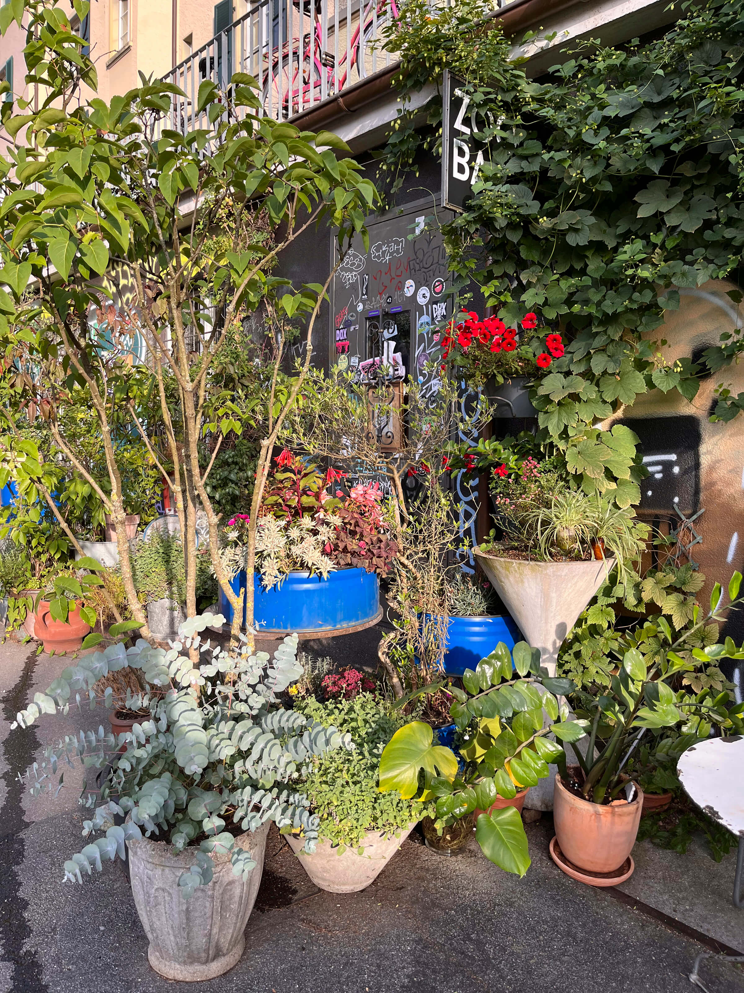 Zoobar Bern – Abendsonne in der Zoobar