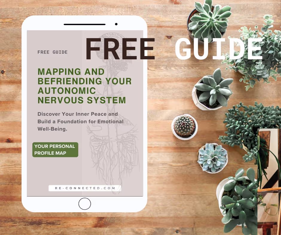 Image cover of the free guide to Autonomic Nervous System Personal Map.