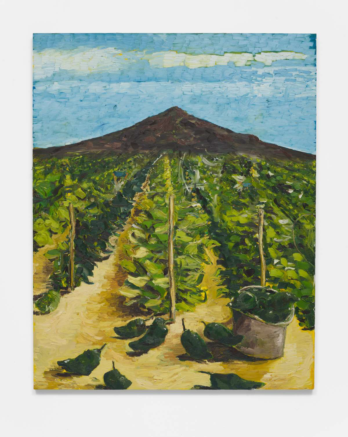 Todos Santos (The Dawn)