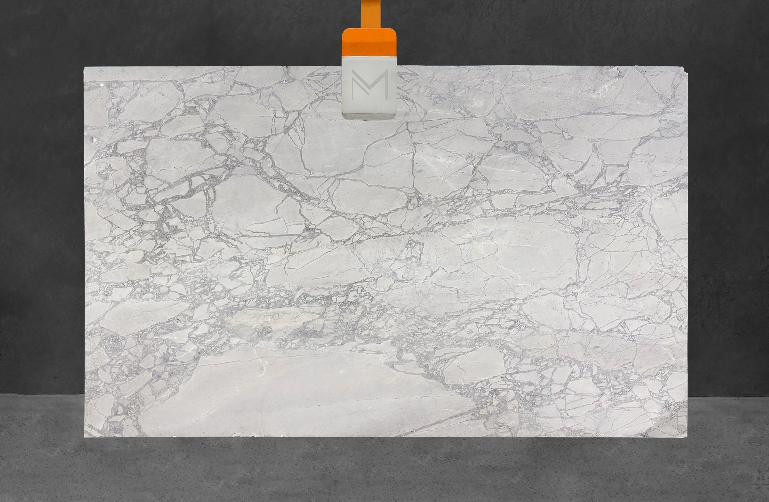 Alba Calacatta Dolomite