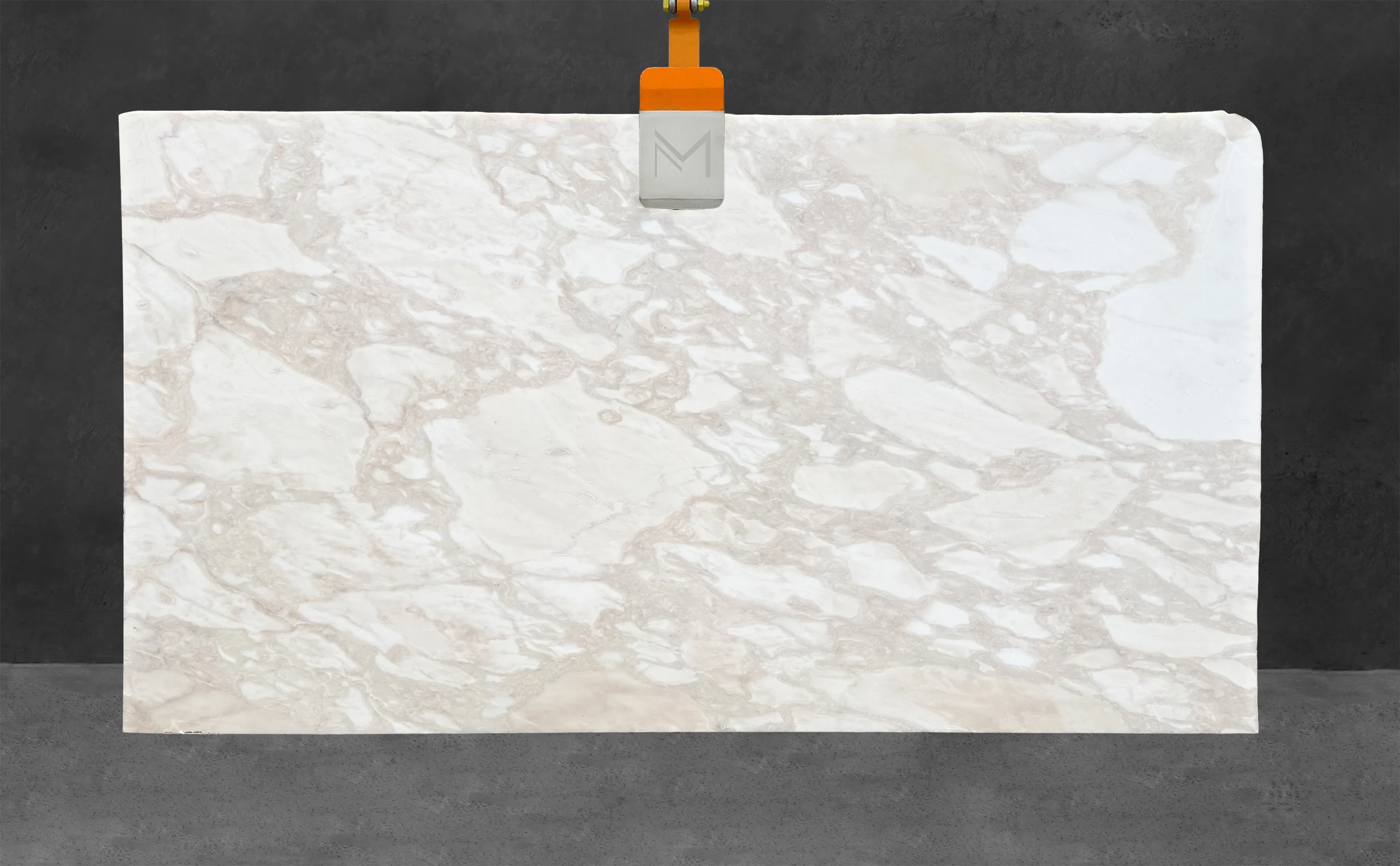Calacatta Rhino Marble