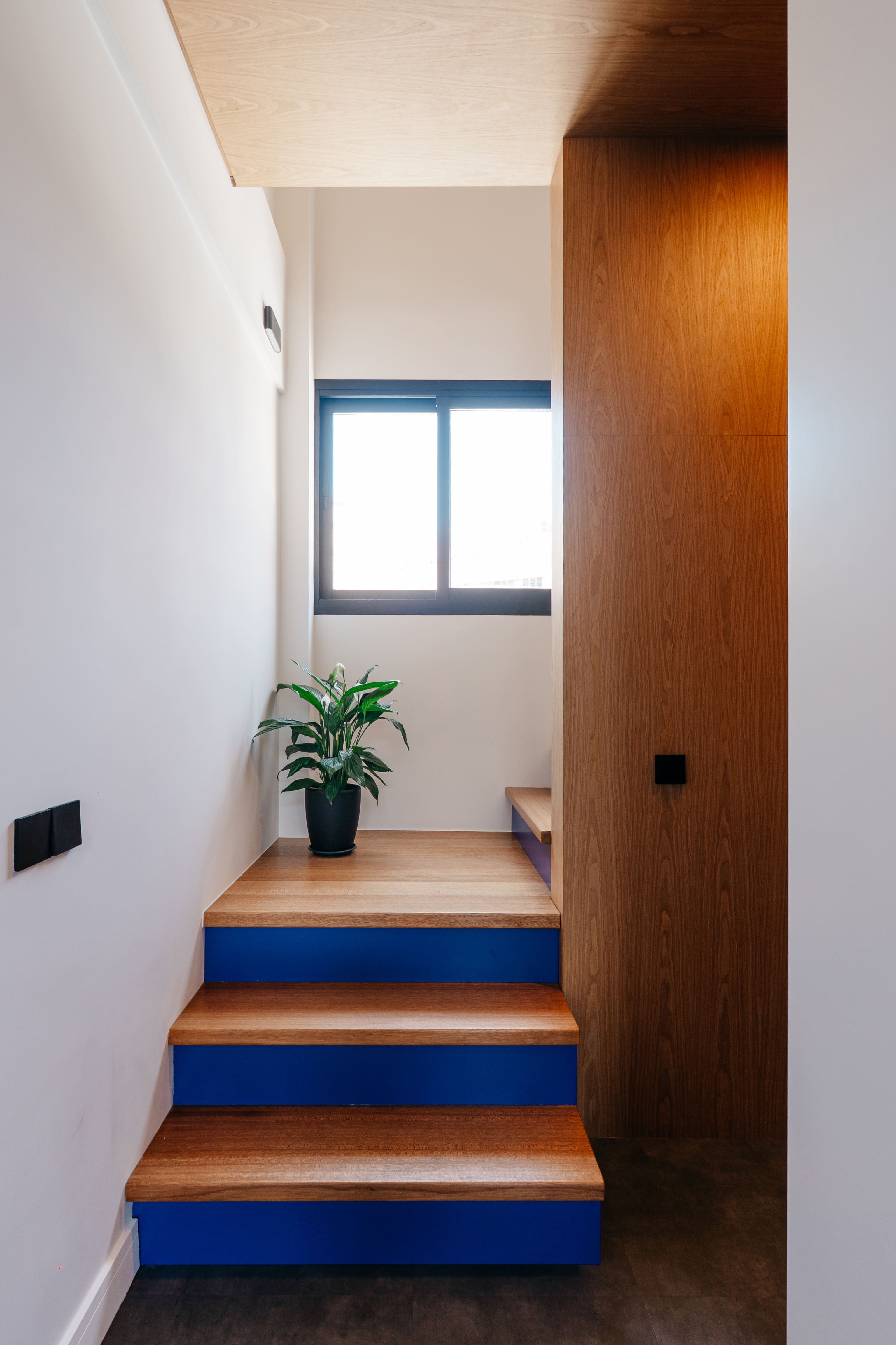 Cobalt Space office project by COBALT, Limassol - photo 7