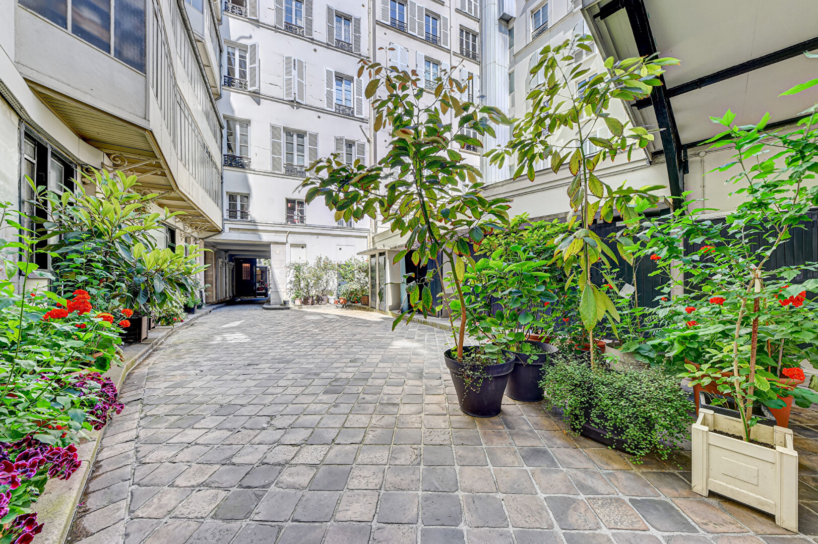 apartment €590,000 55sqm