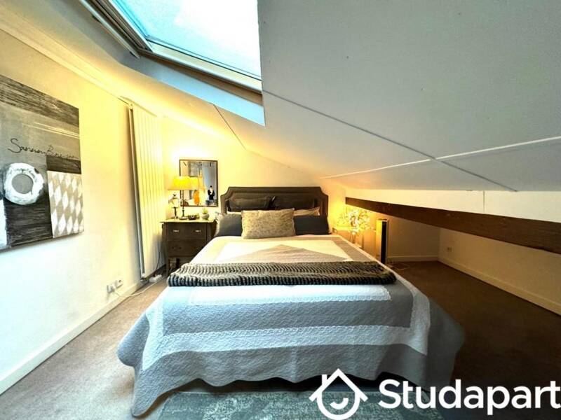 Appartement 25m² meublé indépendant Paris 15 avec jardin