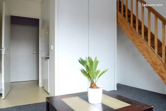 Studio 1 pièce 19 m2