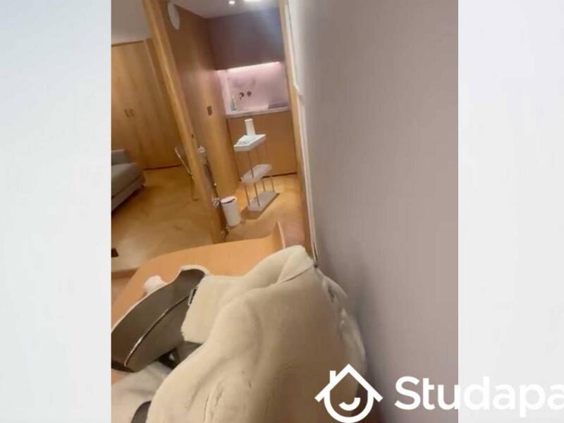 Short-term rental apartment of 17 sqm in PARIS 6