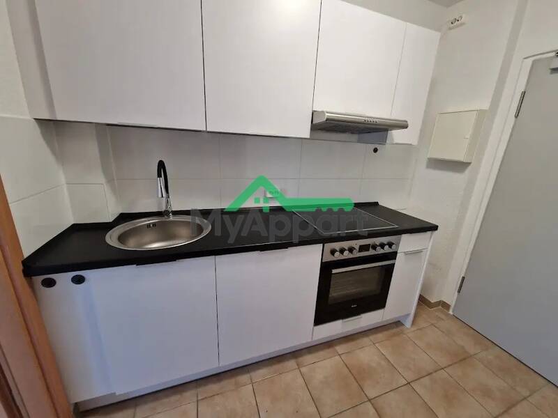 Apartment for rent measuring 24 sqm in Paris 15.