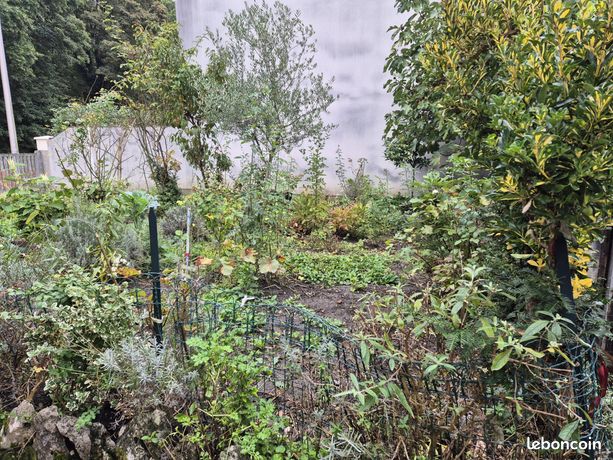 بافيليون 3 غرف 59 م²