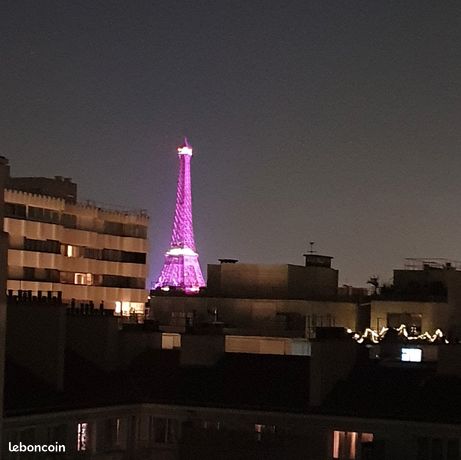 2-room apartment with terrace - Eiffel Tower view - Paris 15th arrondissement
