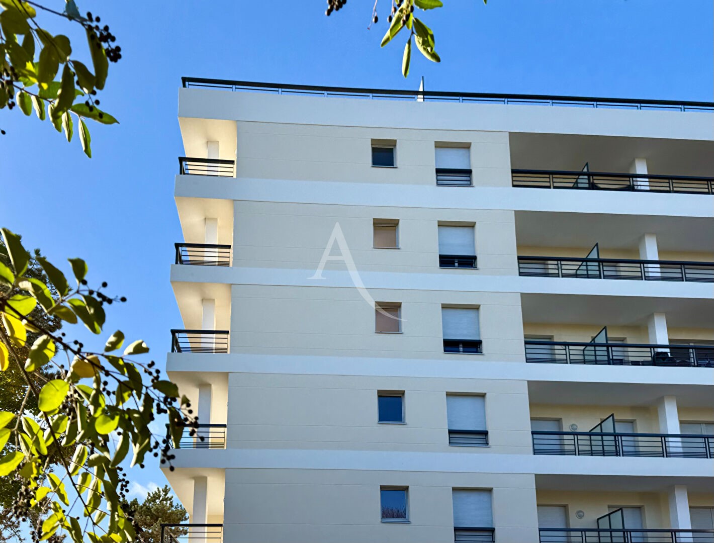 75sqm 3-Room Apartment with Terrace in Montreuil, Versailles