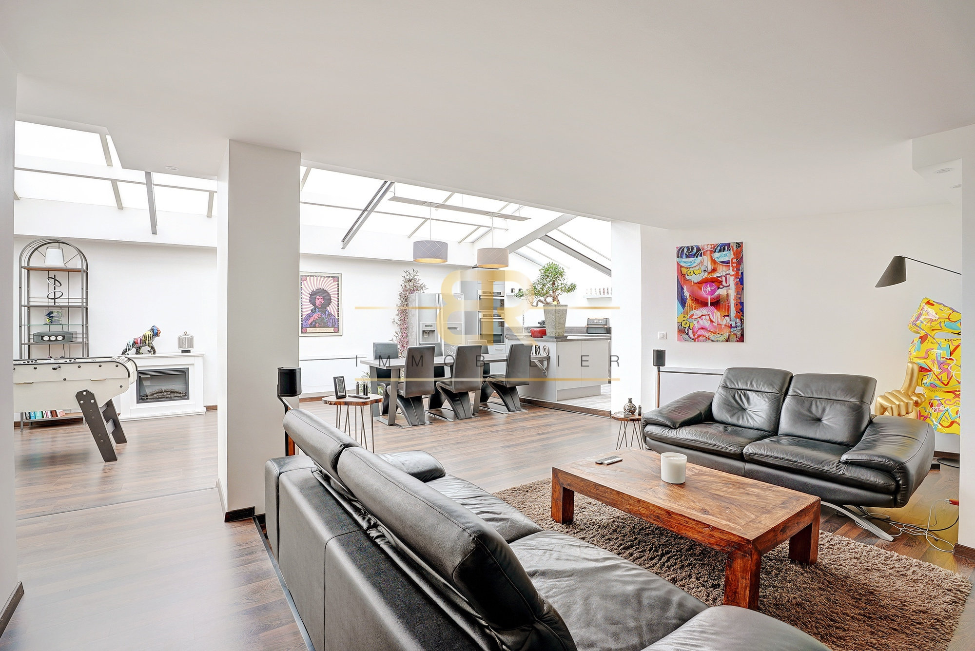 Exceptional loft / Unusual architecture / Marne Riverbanks