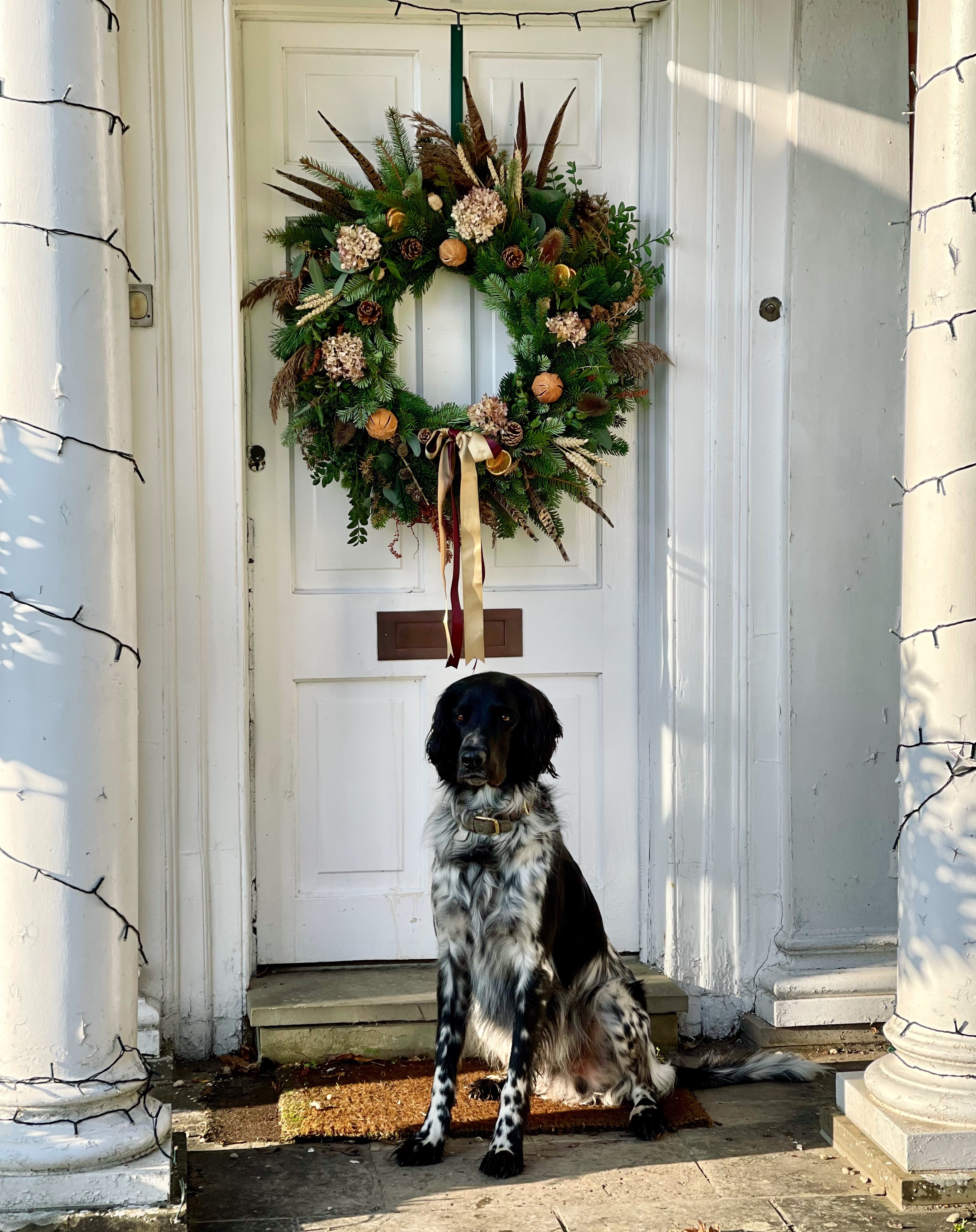*Early Bird* Morning Festive Flow and Luxury Wreath Workshop