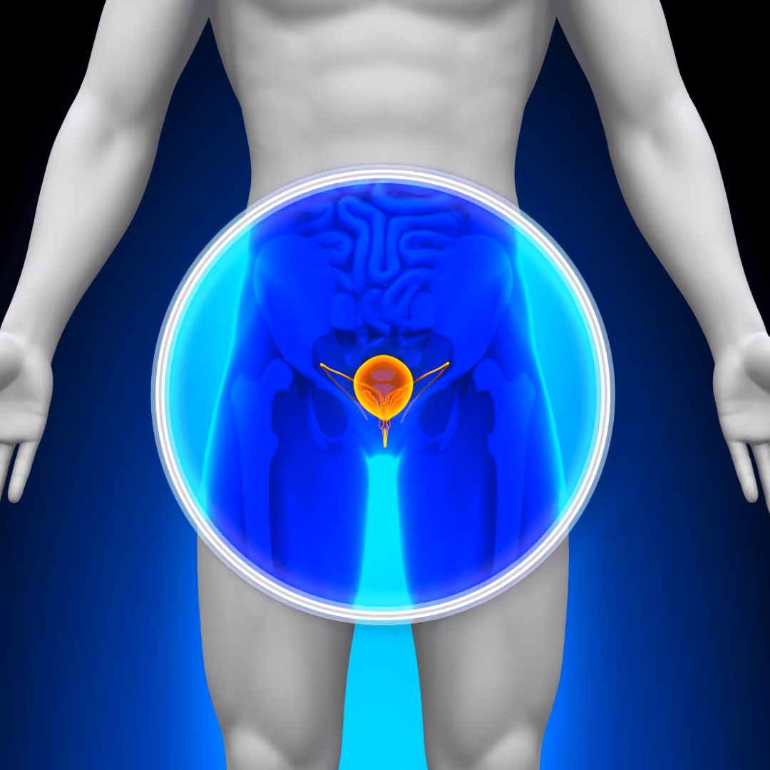 Bladder Scan
