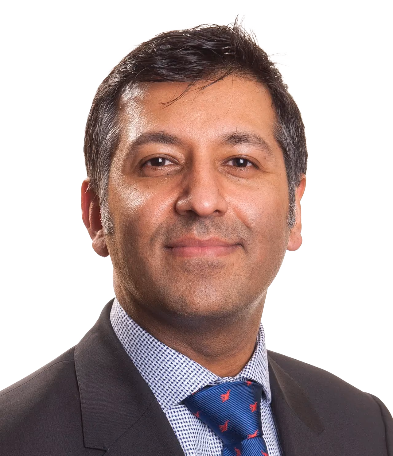 Mr Sanjay Verma