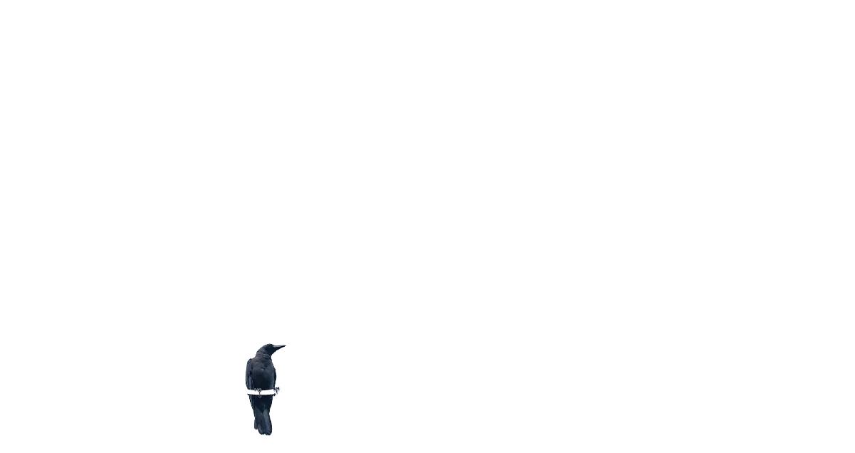 Dream Fisher Series logo
