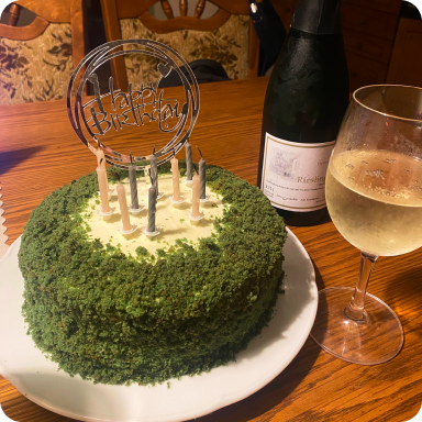 The cake I made for him for his birthday