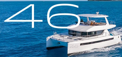 Leopard 43