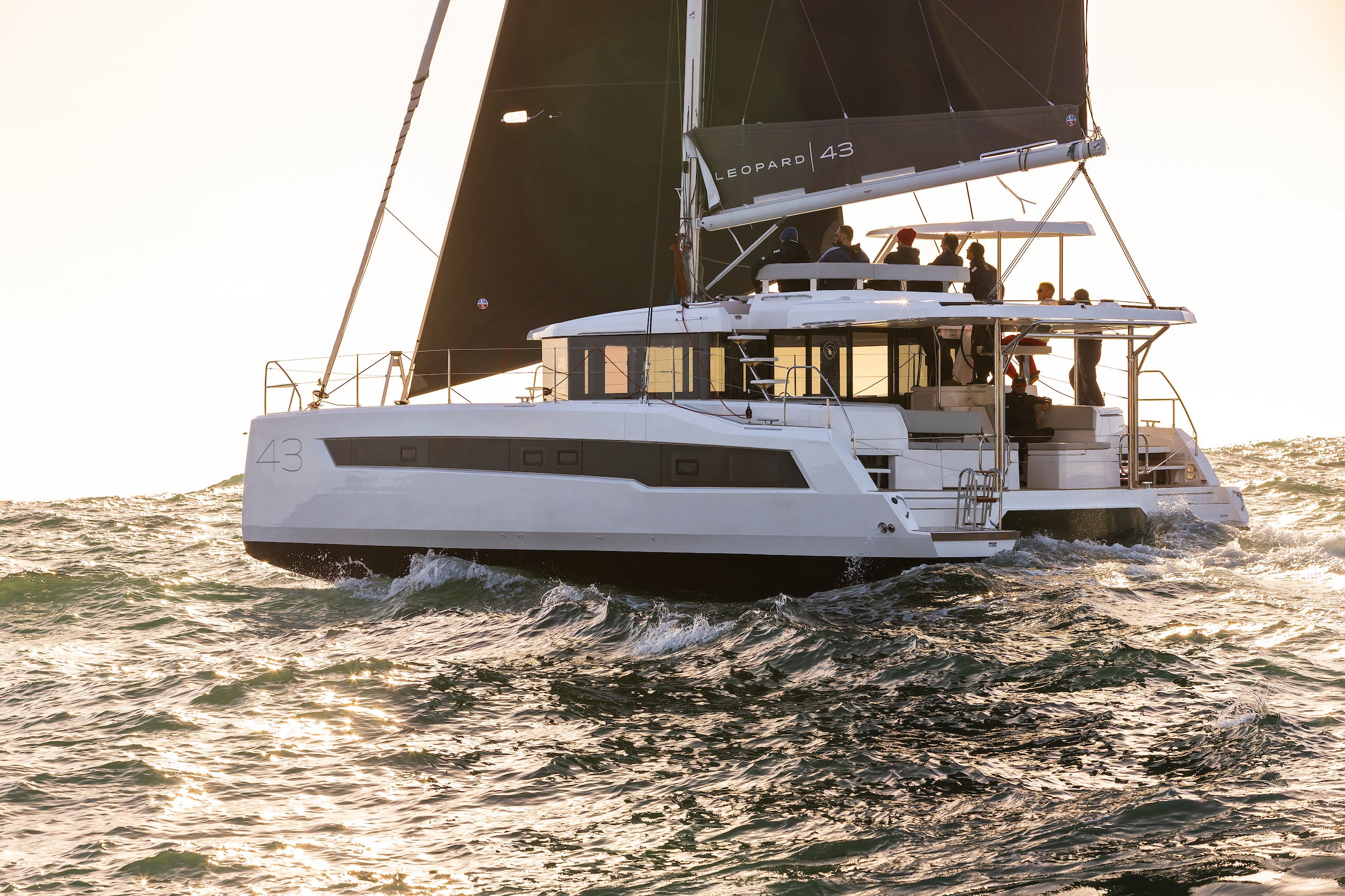 Leopard 43