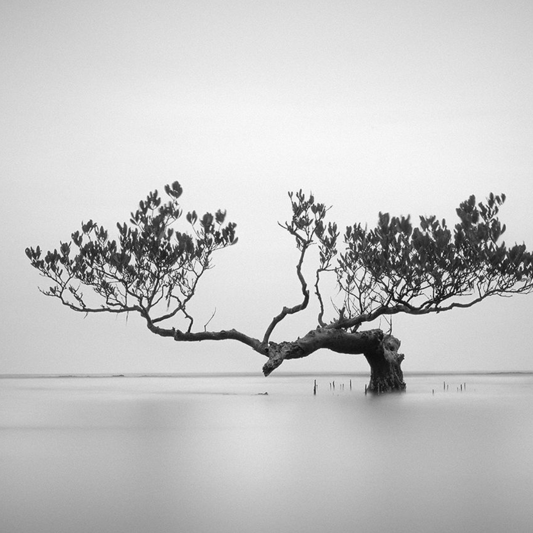  aesthetic photography for peace is earned - a ceramic company in san diego, california