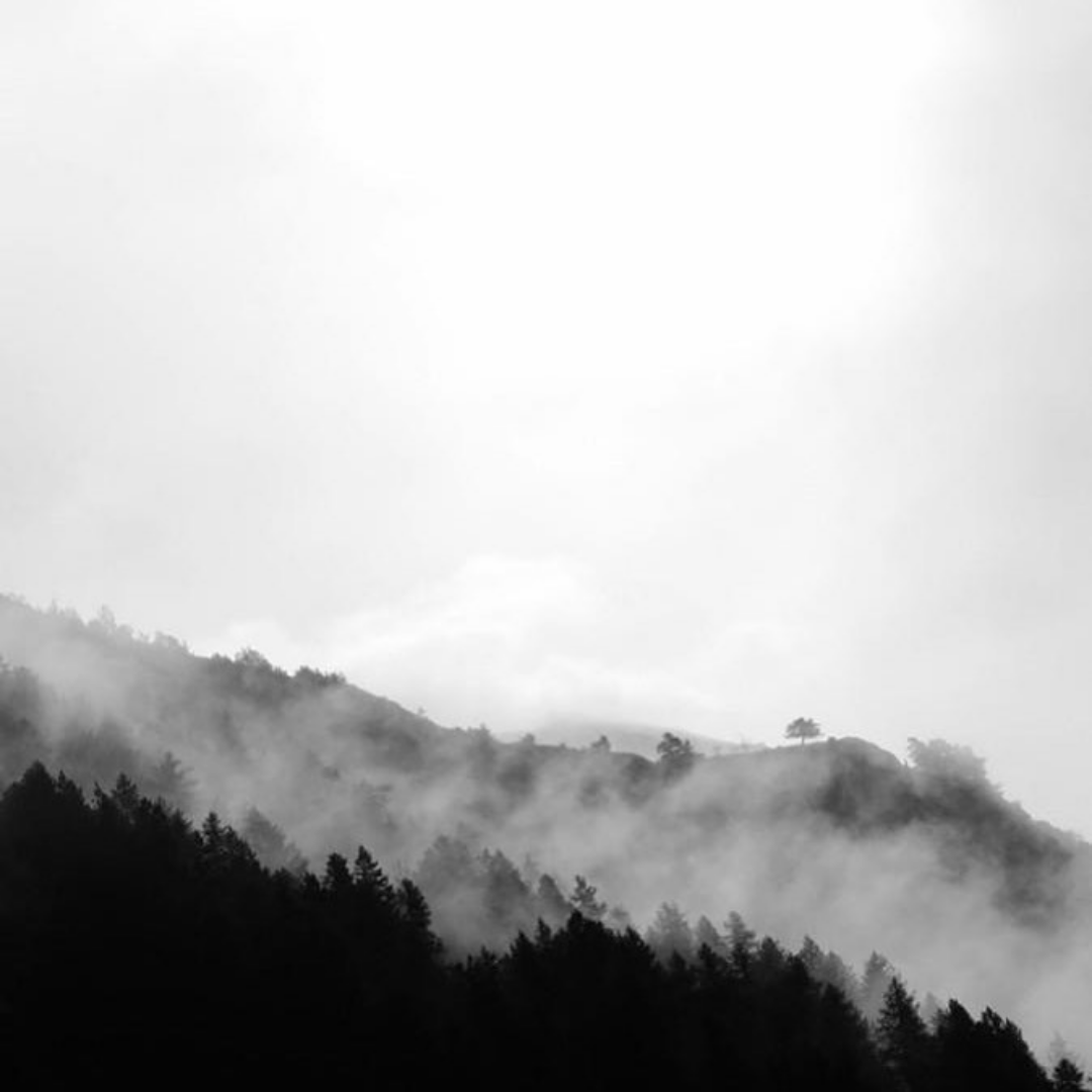  aesthetic photography for peace is earned - a ceramic company in san diego, california