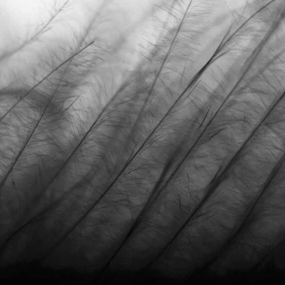  aesthetic photography for peace is earned - a ceramic company in san diego, california