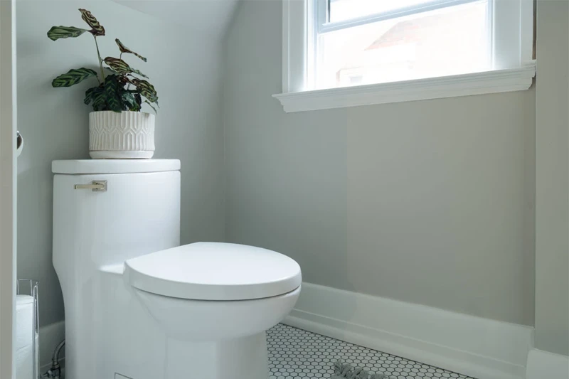 View of water closet interior with bright light streaming in from window. 