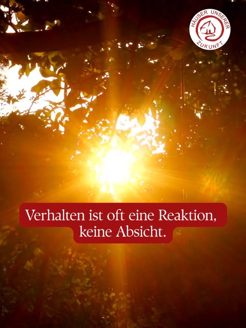 https://www.instagram.com/reel/DdTQGhDgJxK/